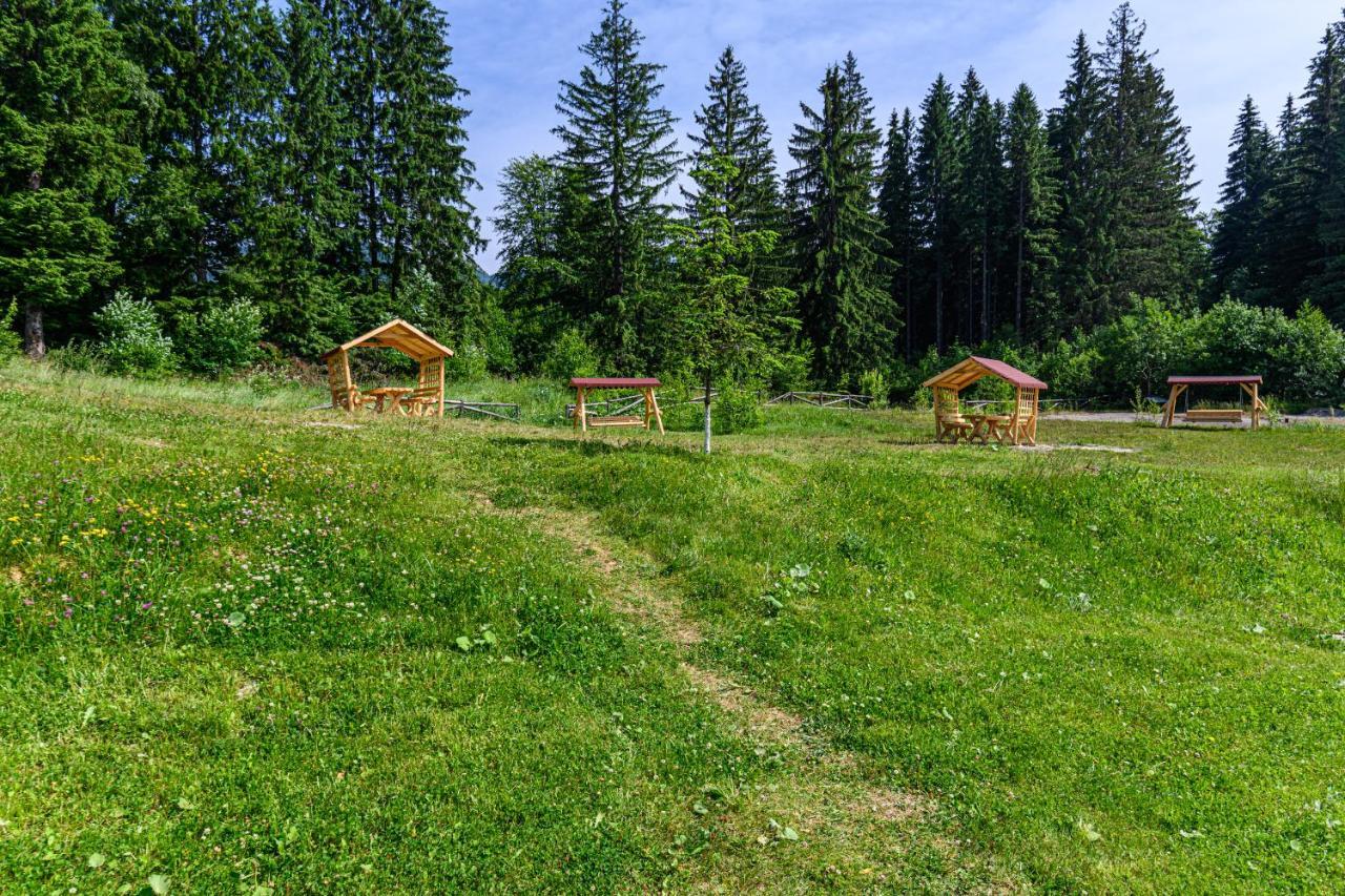 Fabulous Panorama Silver Mountain Apartments Poiana Brasov Eksteriør bilde