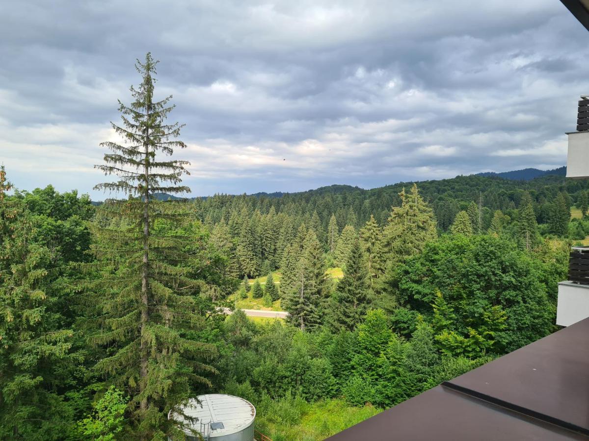 Fabulous Panorama Silver Mountain Apartments Poiana Brasov Eksteriør bilde